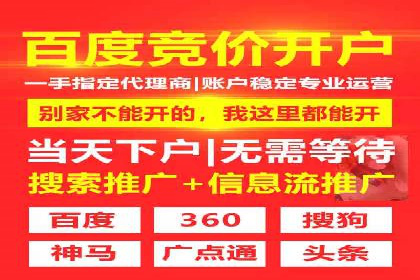 案例研究：SEM代运营服务公司的创新策略
